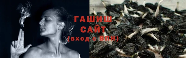 гидра Володарск