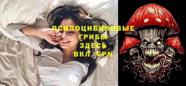 гидра Володарск