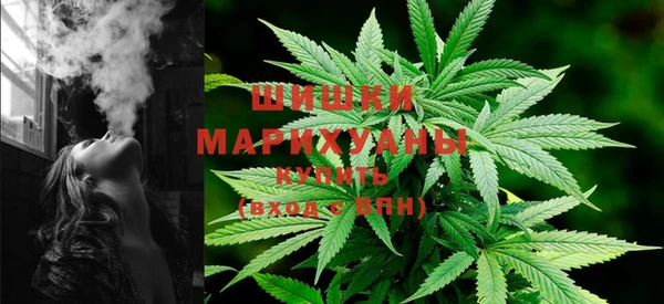 гидра Володарск