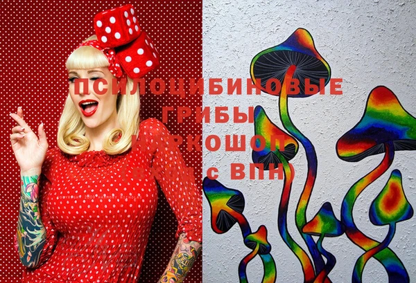 spice Волосово