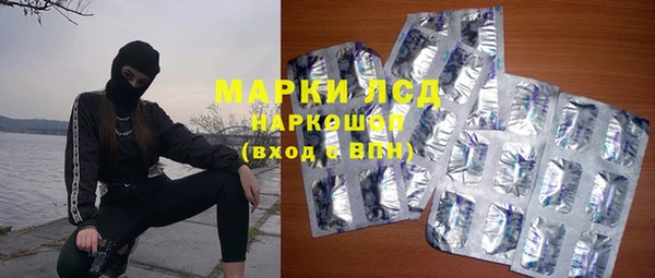 гидра Верея